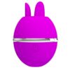 PRETTY LOVE - VIBRATORE IN SILICONE TONDO VIOLA GEMINI BALL - immagine 5