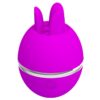PRETTY LOVE - VIBRATORE IN SILICONE TONDO VIOLA GEMINI BALL - immagine 4