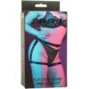 CALEXOTICS - EUPHORIA PETTORINA DA EQUITAZIONE PLUS TAGLIA - immagine 3