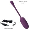 PRETTY LOVE - UOVO VIBRANTE RICARICABILE CASPER VIOLA - immagine 5