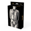COQUETTE CHIC DESIRE - SET DI LINGERIE CON COPRITEPI DELUXE - immagine 4